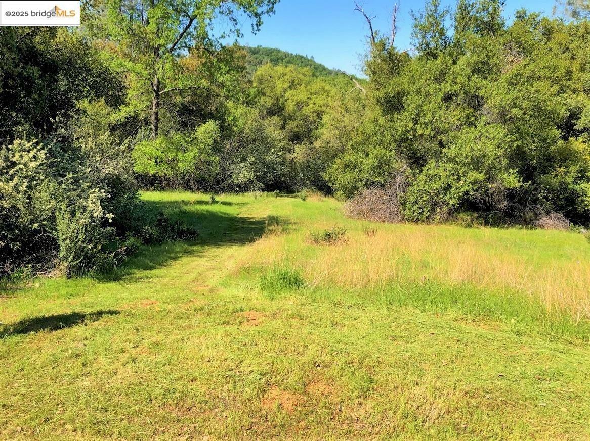 15941 Crestridge Avenue  Sonora CA 95370 photo