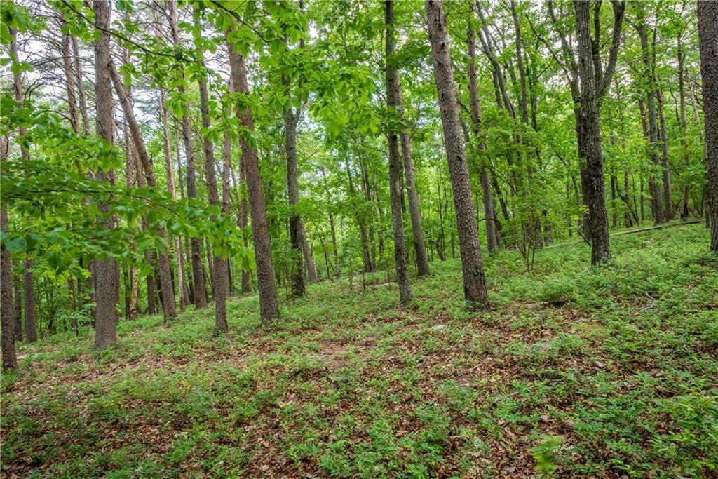 Property Photo: 206R Mystic Trail Lane GA 30143