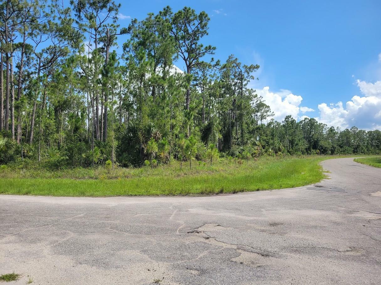 Property Photo: Langlais Drive FL 34288