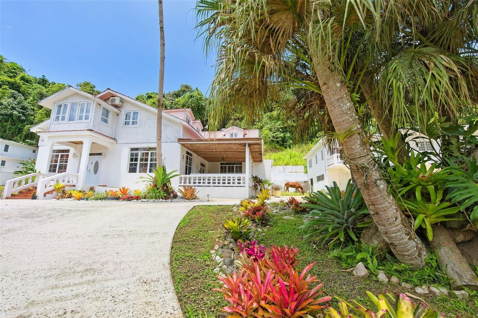 Property Photo: 135 Villa Perez PR 00601