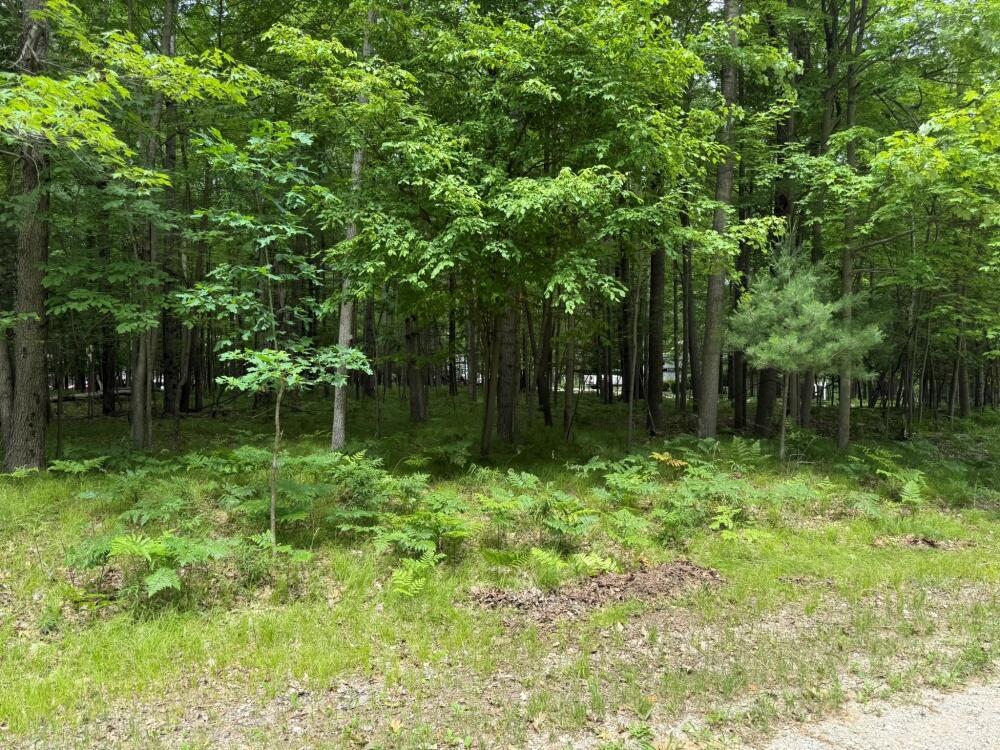 Property Photo: 6823 Beechnut Ridge MI 49346