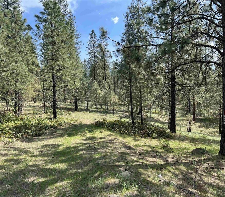 Property Photo: Xxx N Junco Way WA 99141