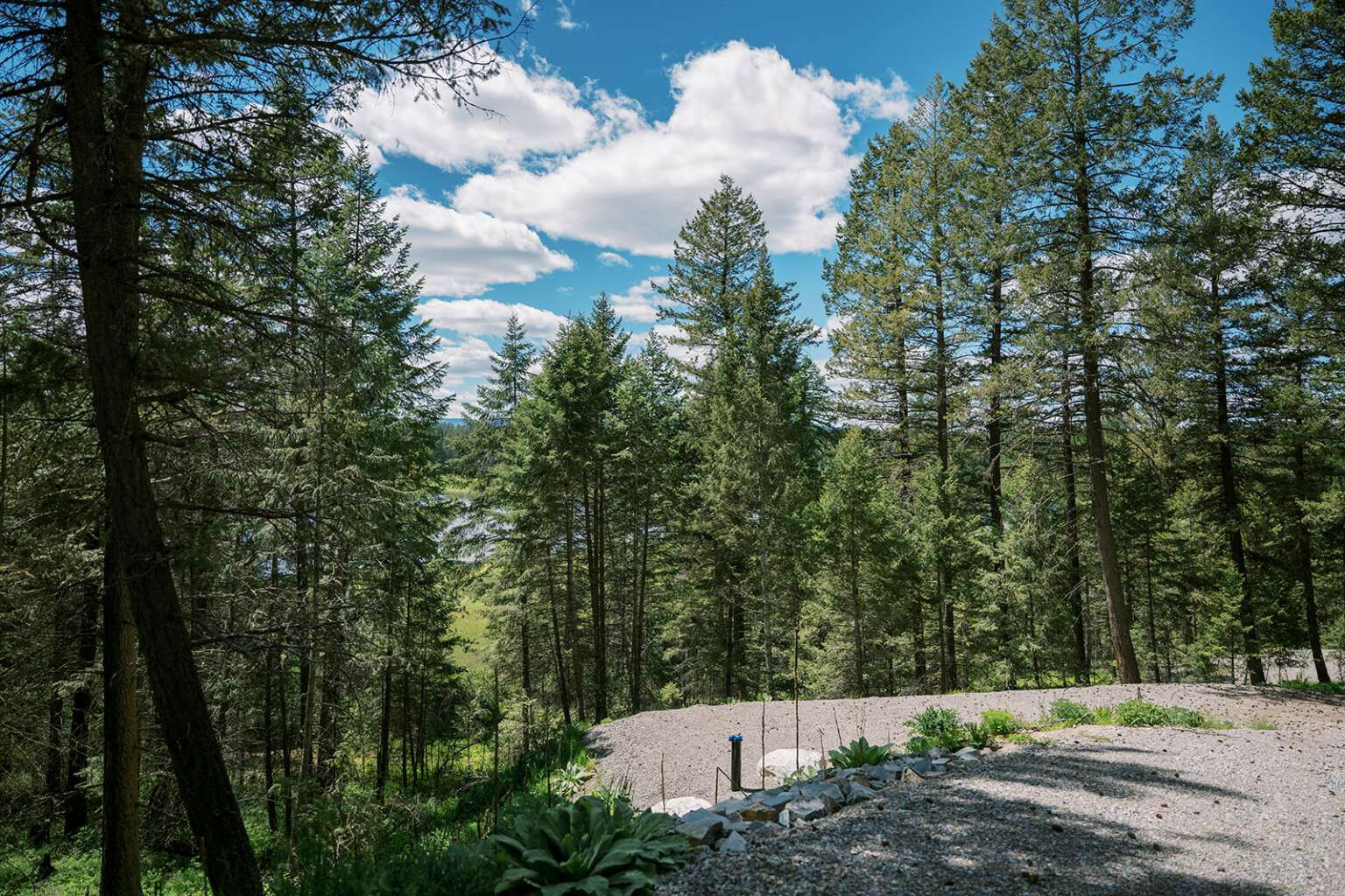 Property Photo:  56 Wagon Wheel Road  MT 59937 