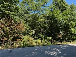 Property Photo: Lot 19 Harrington Drive AR 72714