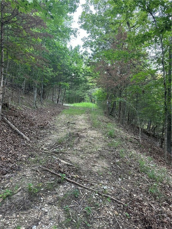Property Photo: Tbd Cr 1524 AR 72632