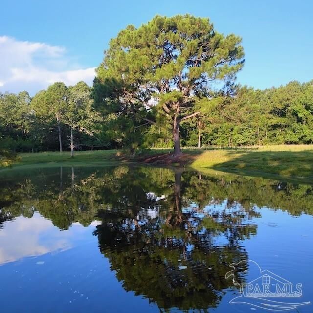 Property Photo: 939 Avalon Blvd FL 32583