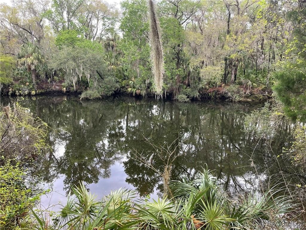 Property Photo: 10574 Dawnflower Point FL 34428