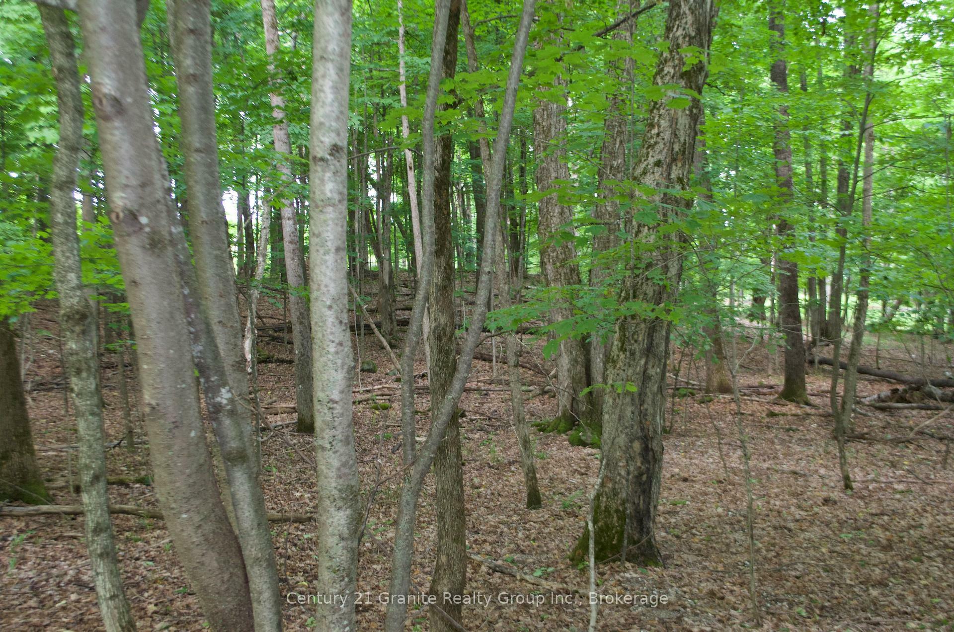 Property Photo:  Lot 7 Ridgeview Road  ON K0M 1S0 
