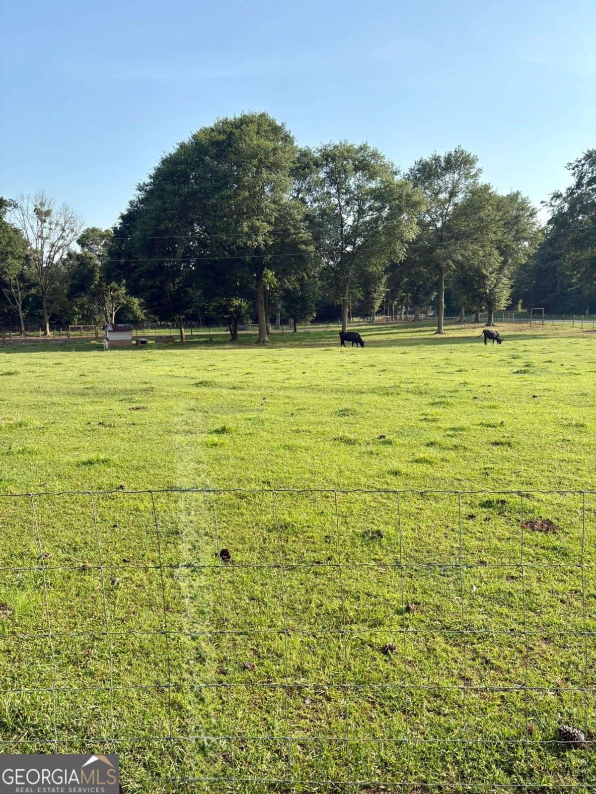 Property Photo: 1368 Jot Em Down Road GA 30633