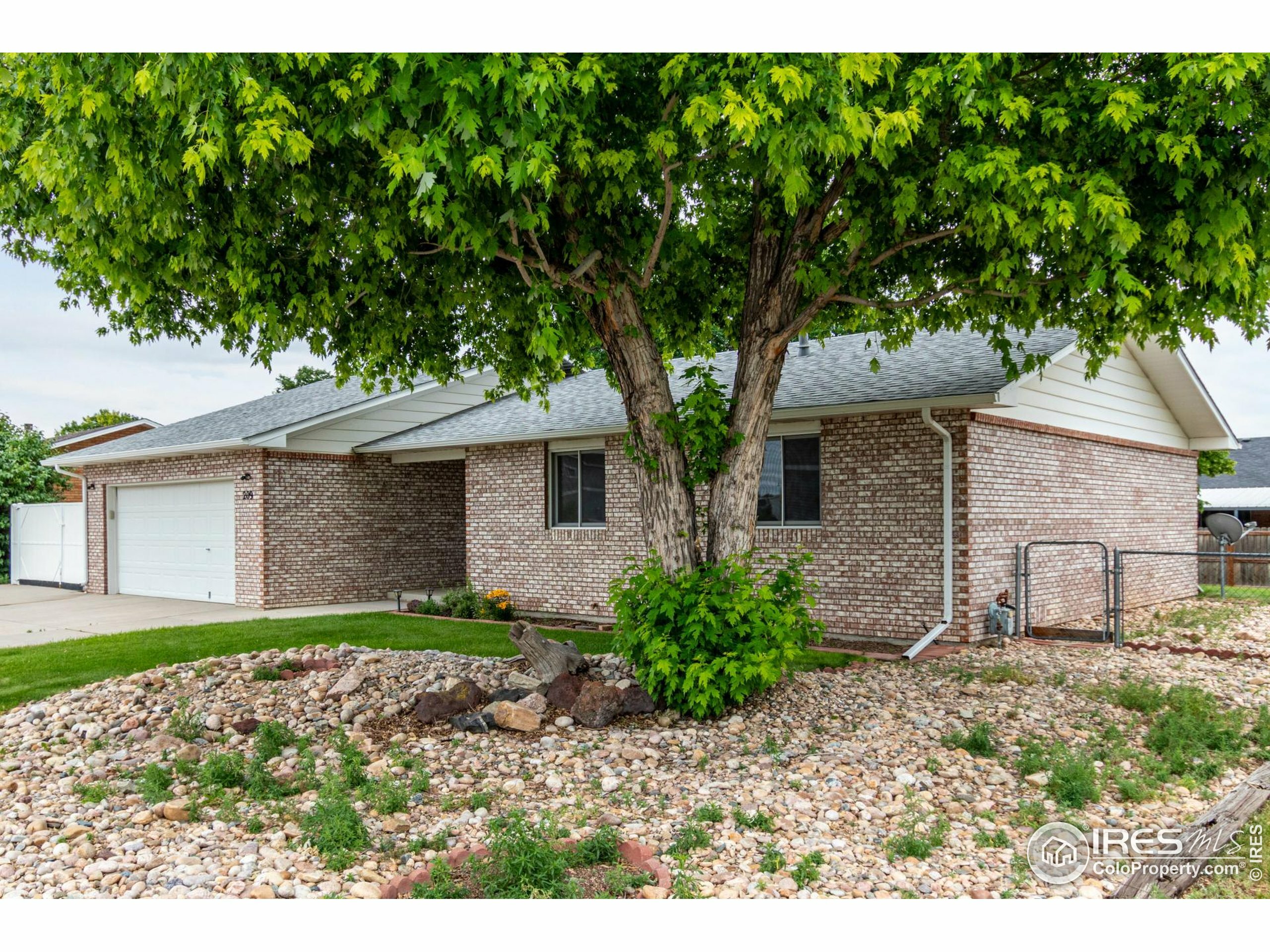 Property Photo: 209 E Chestnut St CO 80550