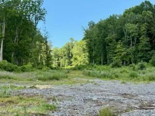 Property Photo: Lot 3 Chelsea Road NY 12590