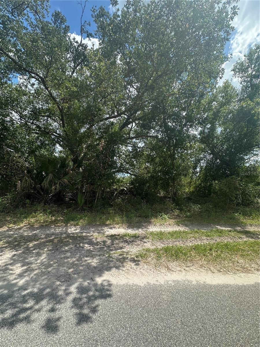 Property Photo: Henrietta Avenue FL 34291