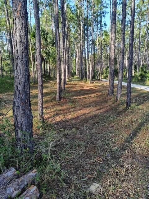 Property Photo:  540 SW 326th Avenue  FL 32359 