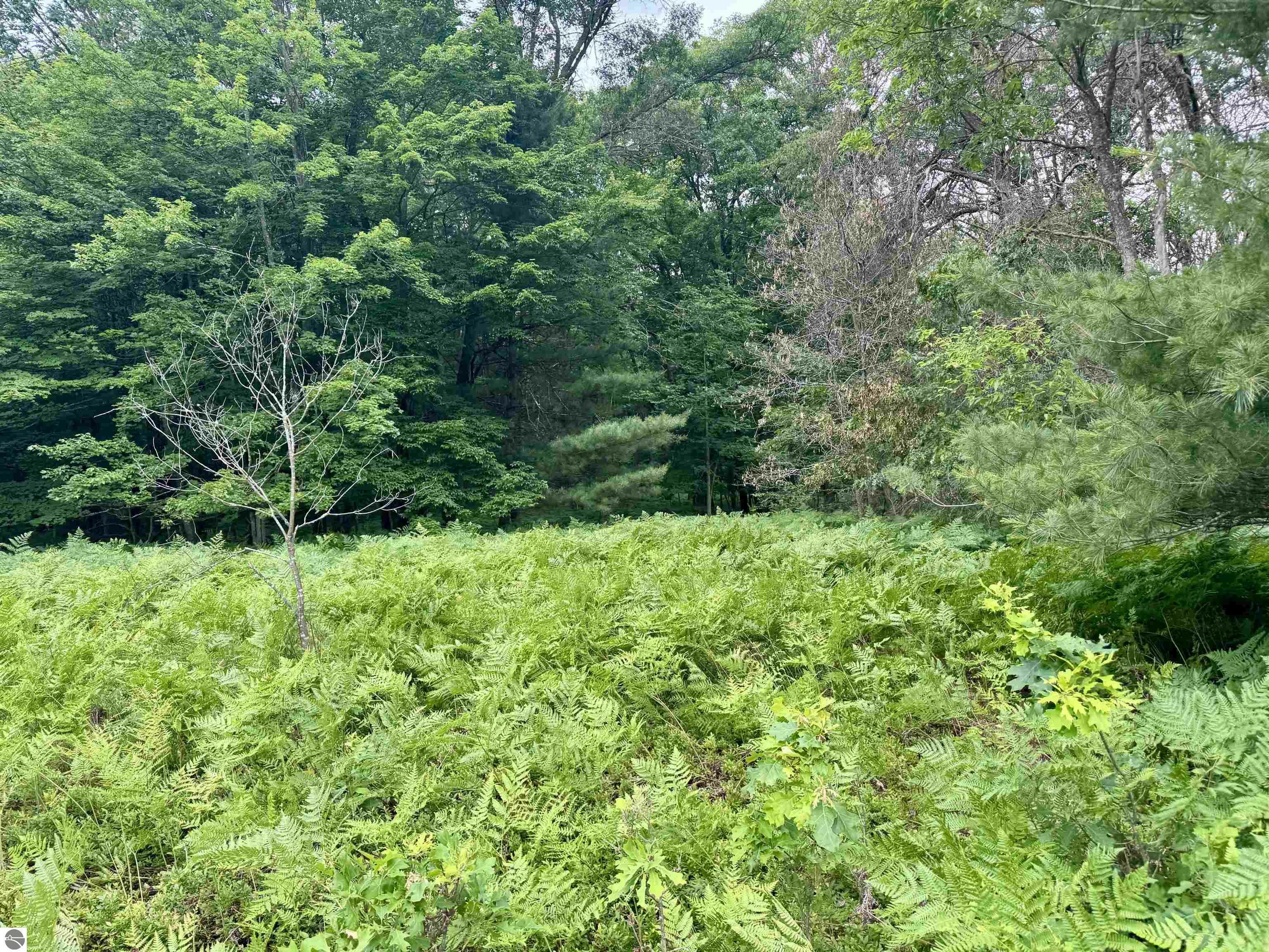 Property Photo: Parcel M Rosted Road MI 49651