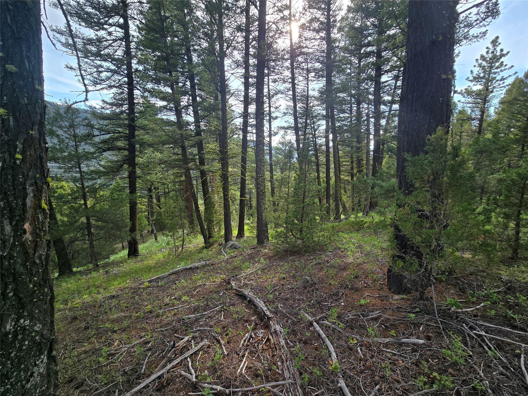 Property Photo: # Johnson Quarta Lode MT 59858