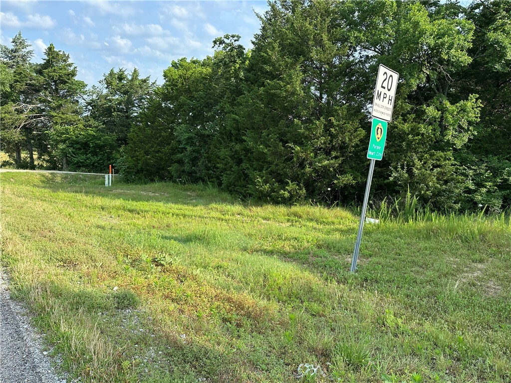 Property Photo:  Hwy 62 B  AR 72634 