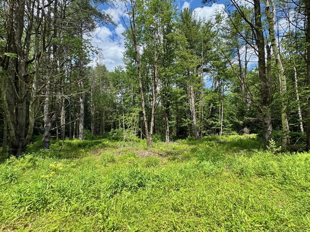 Property Photo:  0 Shelburne Falls Road  MA 01341 