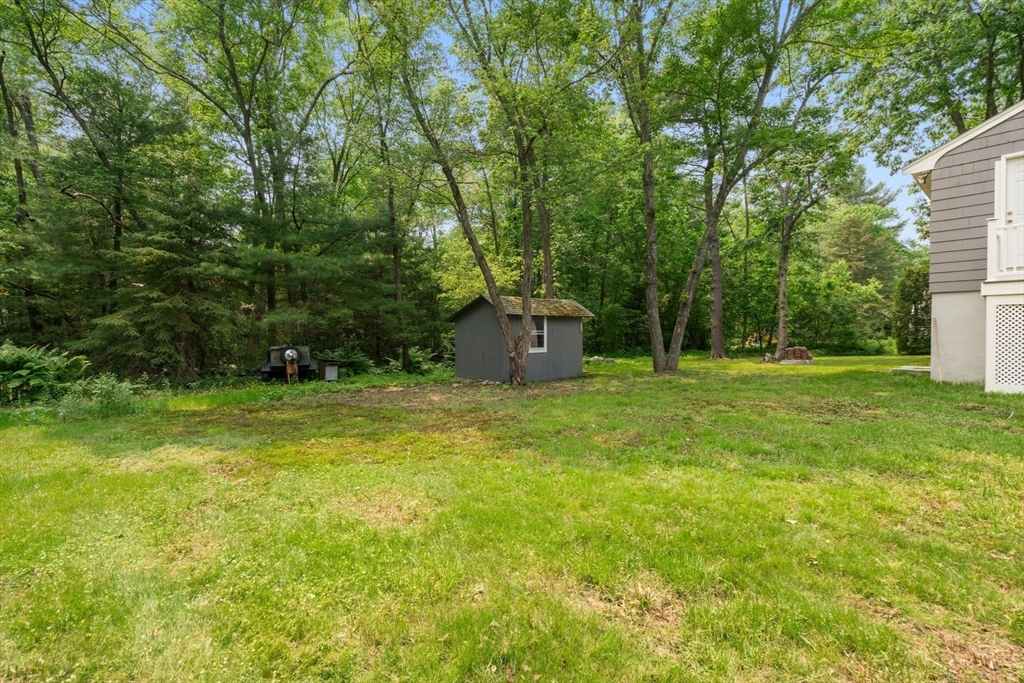 Property Photo:  379 Dedham Avenue  MA 02492 