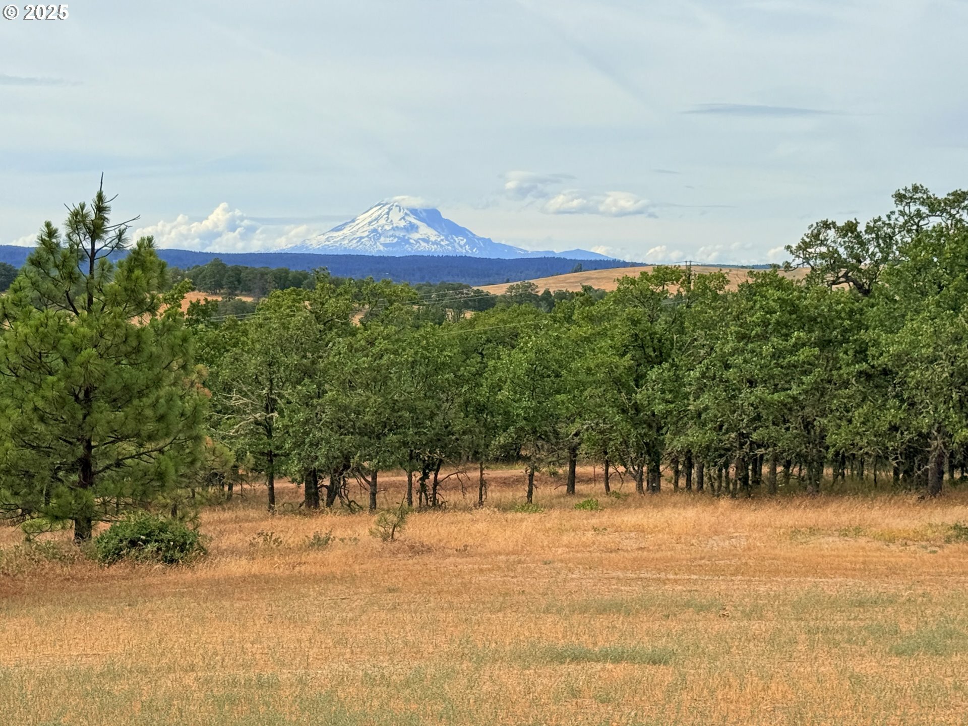 Property Photo: 600 Centerville Hwy WA 98635