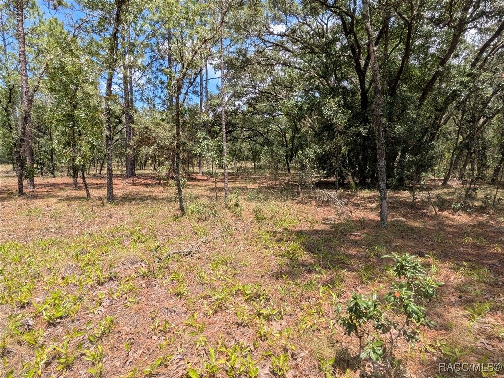 Property Photo: Lot 25 NW Ridgewood Road FL 34431