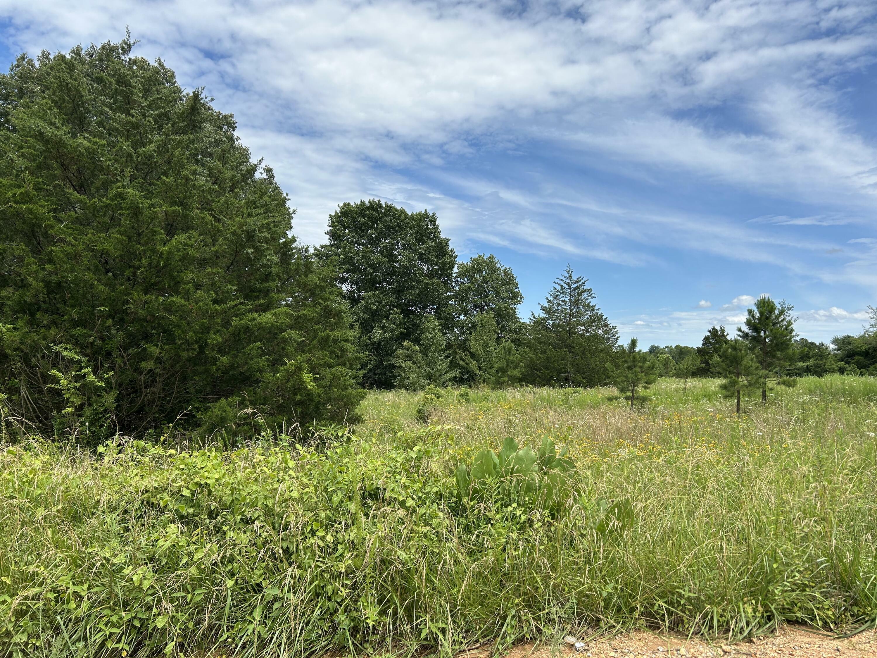 Property Photo: 676 County Road 403 MO 65606