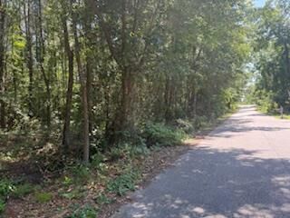 Linwood  Sumter SC 29153 photo