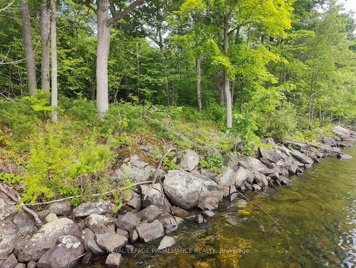 Property Photo:  621A Cook Road  ON K0K 2M0 