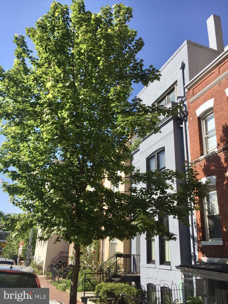 Property Photo:  2298 Champlain Street NW A  DC 20009 