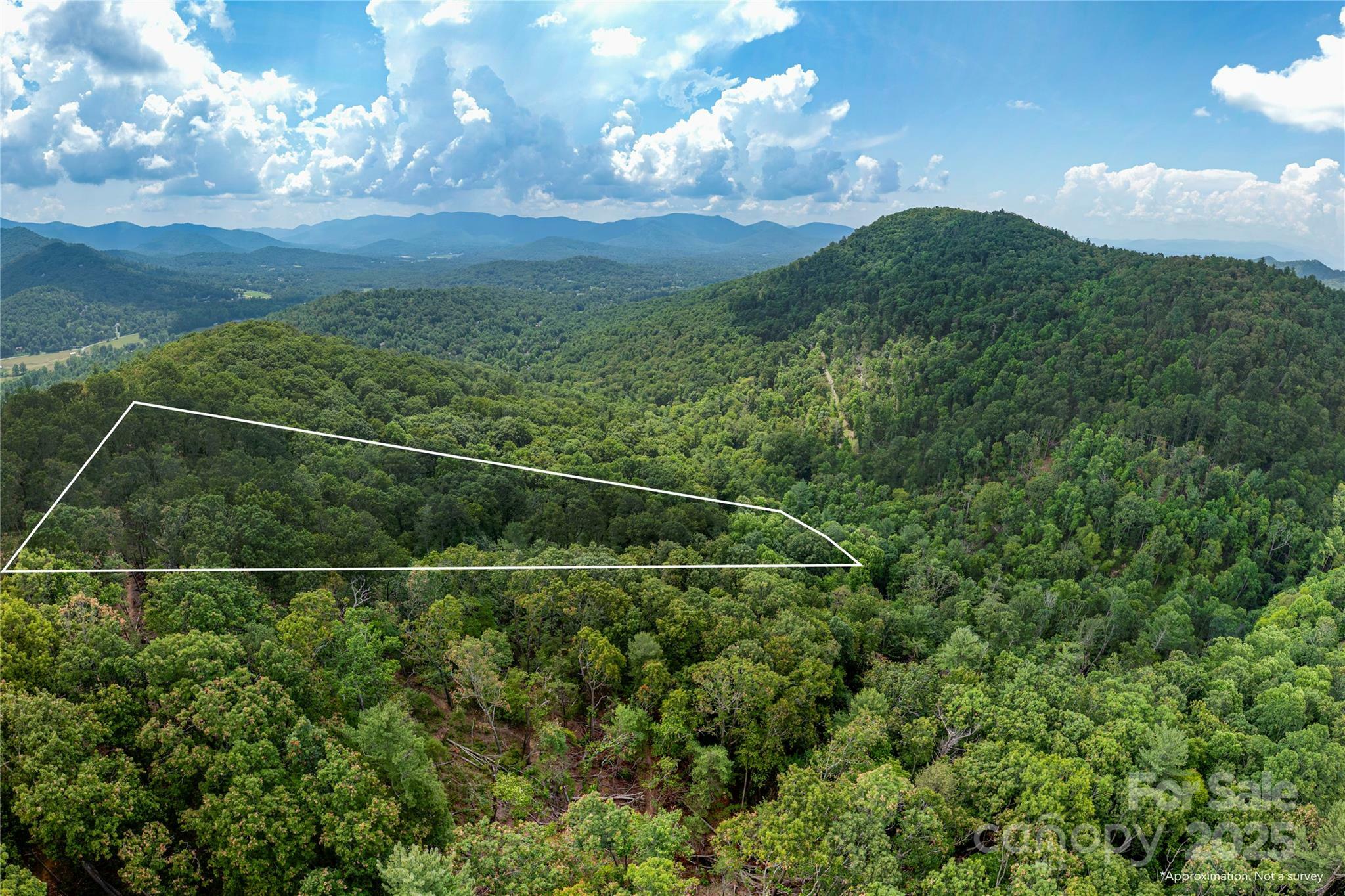 Property Photo: 99999 Independence Boulevard NC 28805