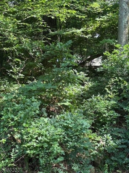 Property Photo:  28 Hillside Rd  NJ 07465 
