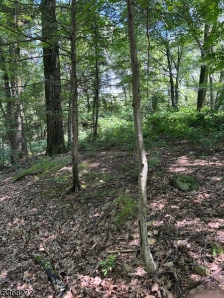 Property Photo: 28 Hillside Rd NJ 07465