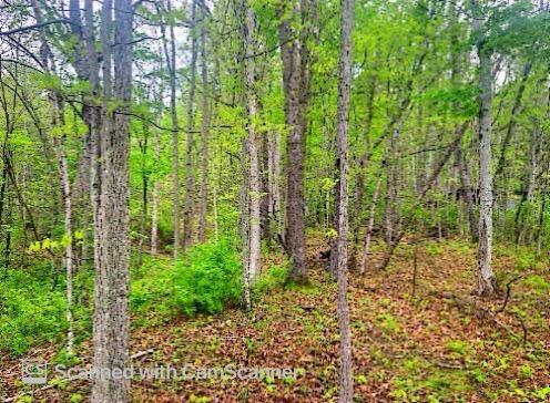 Iris Lane  Peterstown WV 24963 photo
