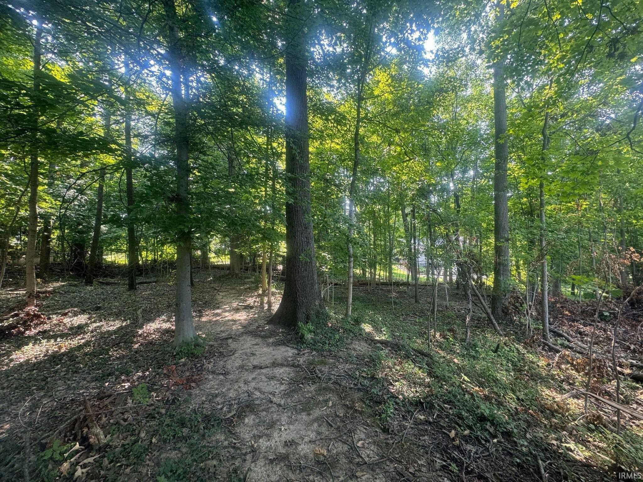 Lot 7 Highland Avenue  Bloomington IN 47401 photo
