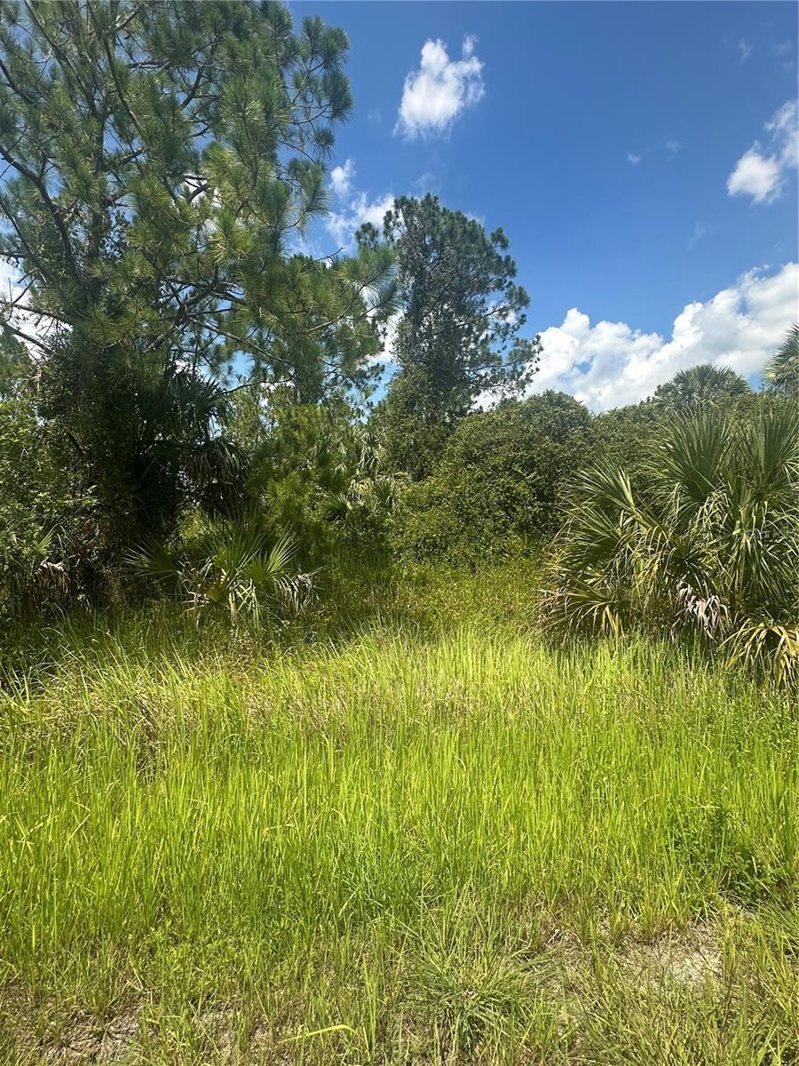 Property Photo: Hampshire Circle FL 34288