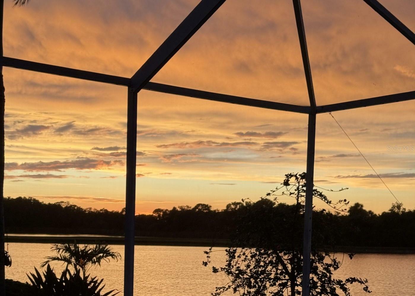 Property Photo: 10571 Old Grove Circle FL 34212