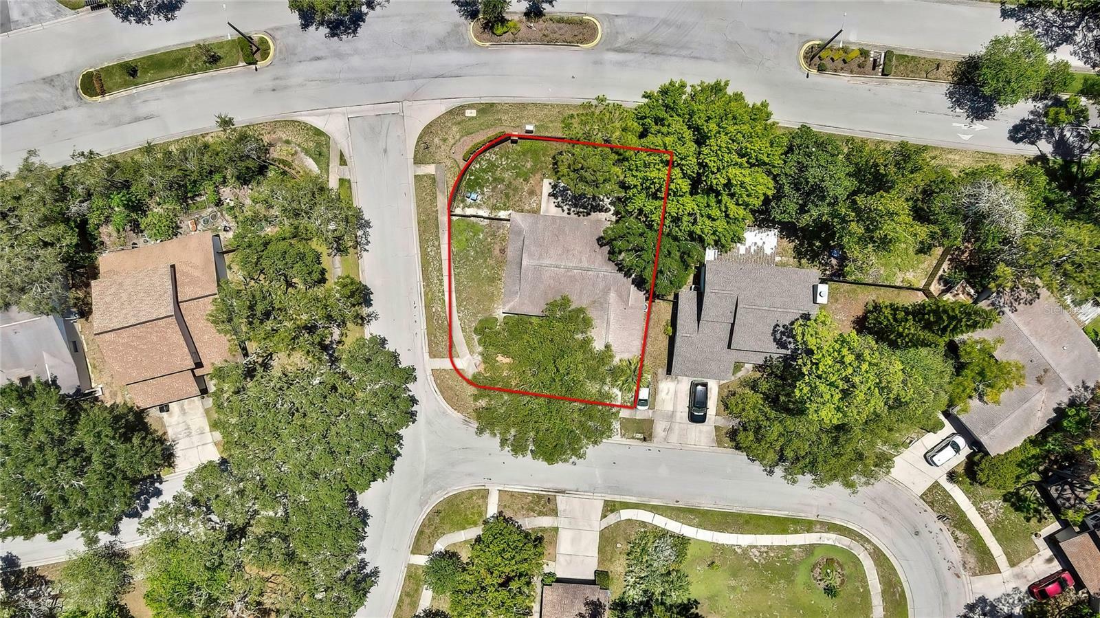 14619 Daybreak Drive  Lutz FL 33559 photo