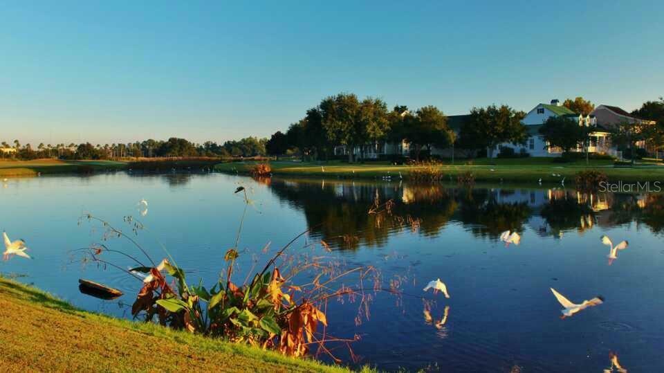 Property Photo: 934 Westpark Drive FL 34747
