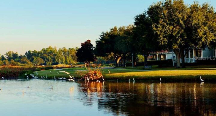 Property Photo:  934 Westpark Drive  FL 34747 