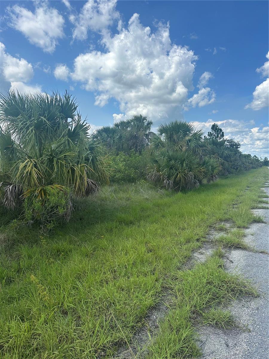Property Photo: Fritz Avenue FL 34288