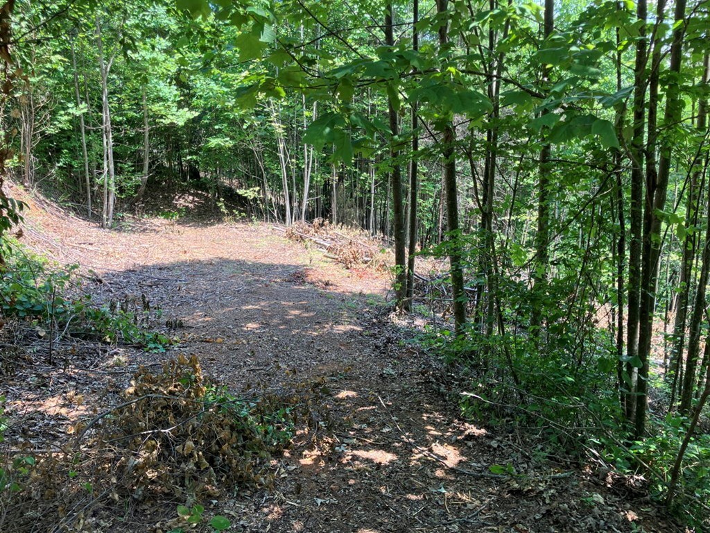 Property Photo: Lot 13 View Ridge Trail NC 28906