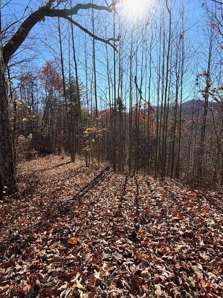 Property Photo:  Lot 13 View Ridge Trail  NC 28906 