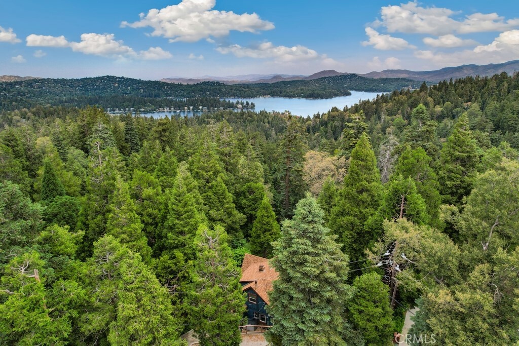 Property Photo:  717 Crest Estates Drive  CA 92352 