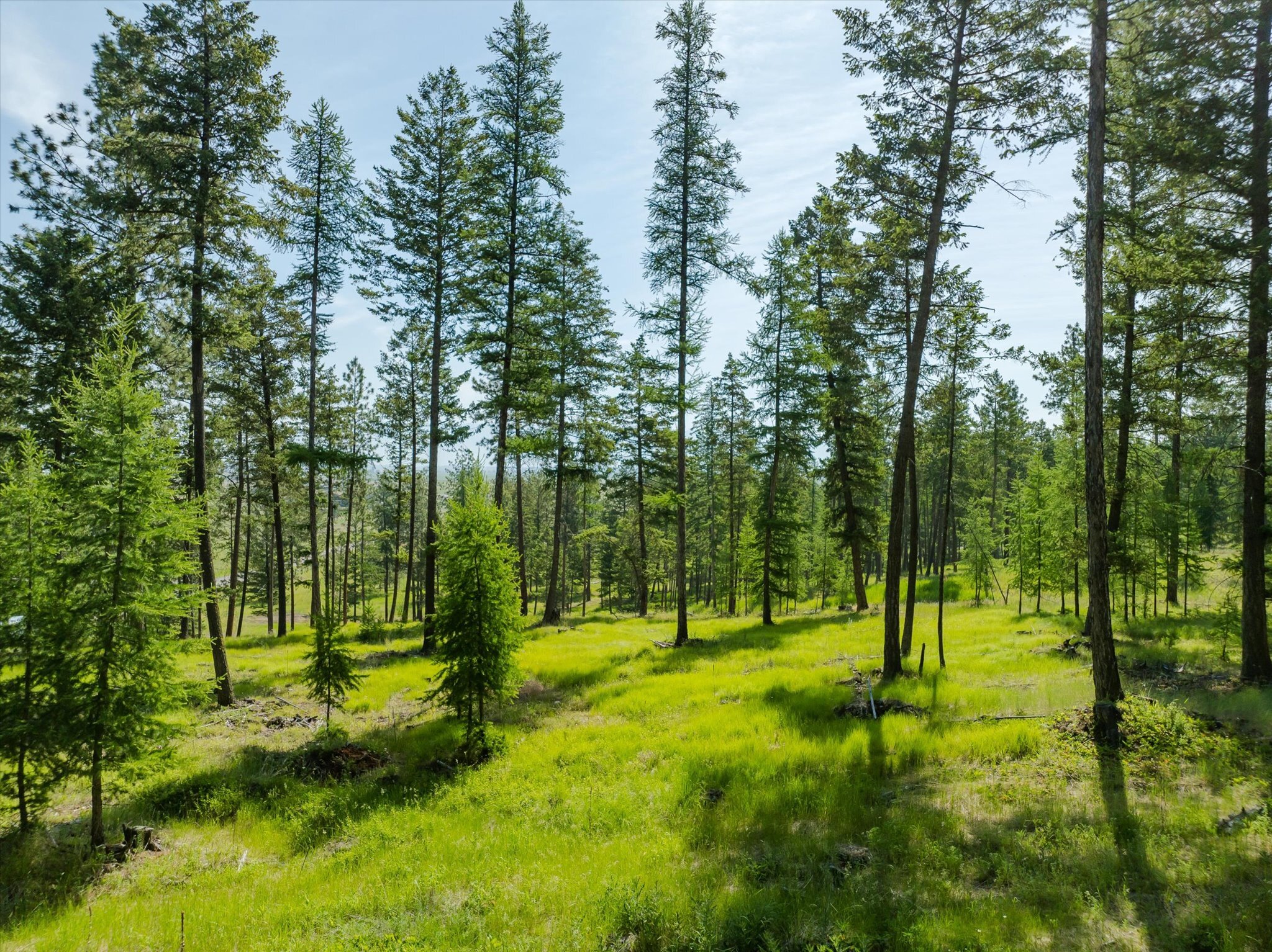 Property Photo: Nhn Northern Larch Trail Lot 72 MT 59901