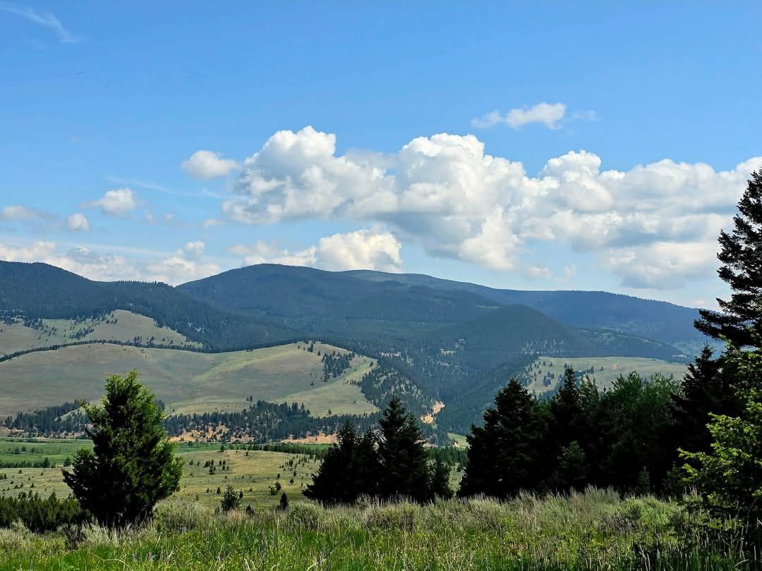 Property Photo:  Tbd Tract 5 Hall Creek  MT 59843 