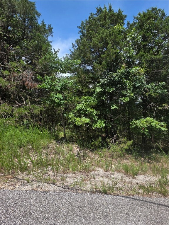 Property Photo: 55 Eagle Drive AR 72631