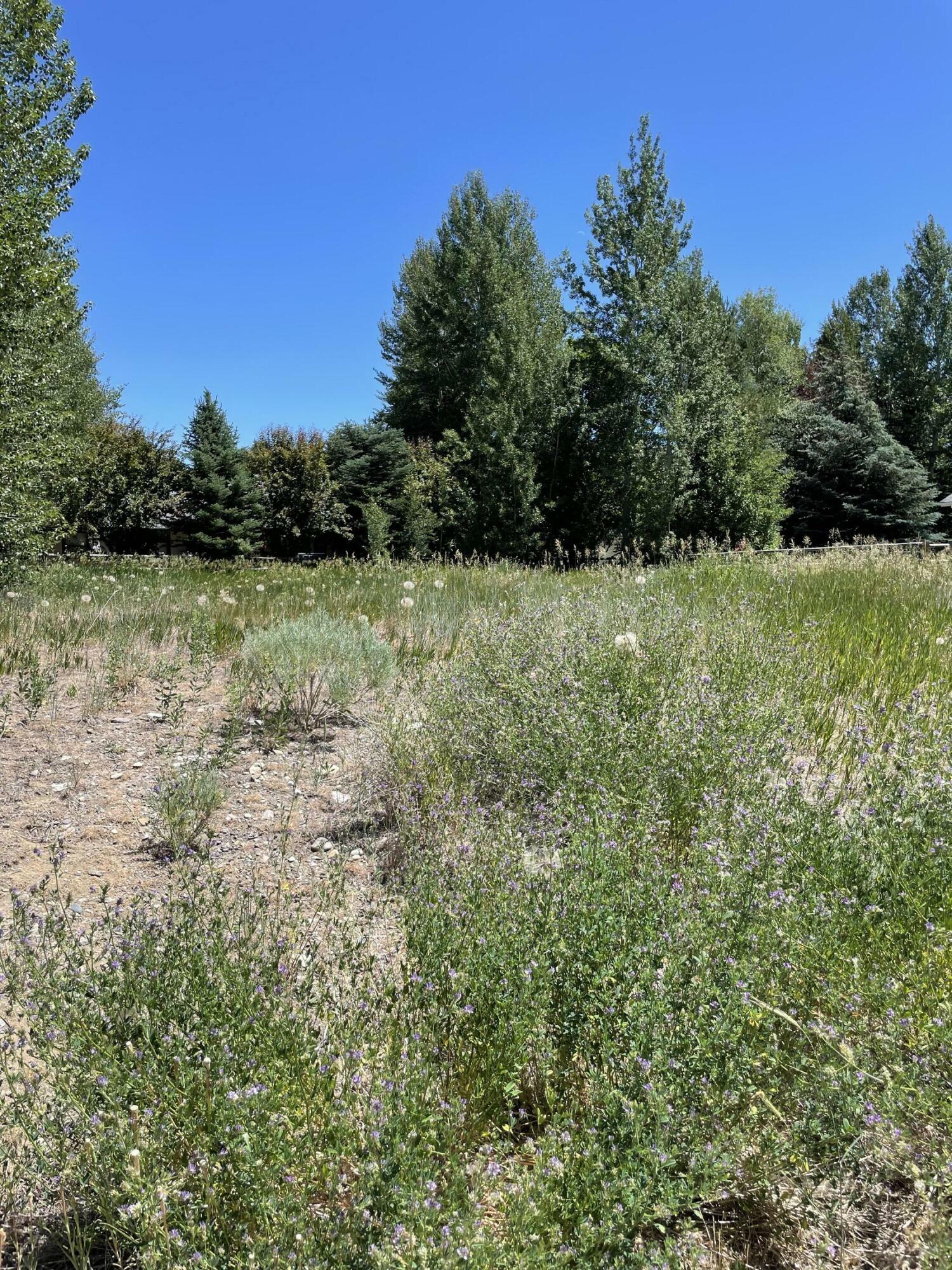 Property Photo: 520 Angela Dr ID 83333