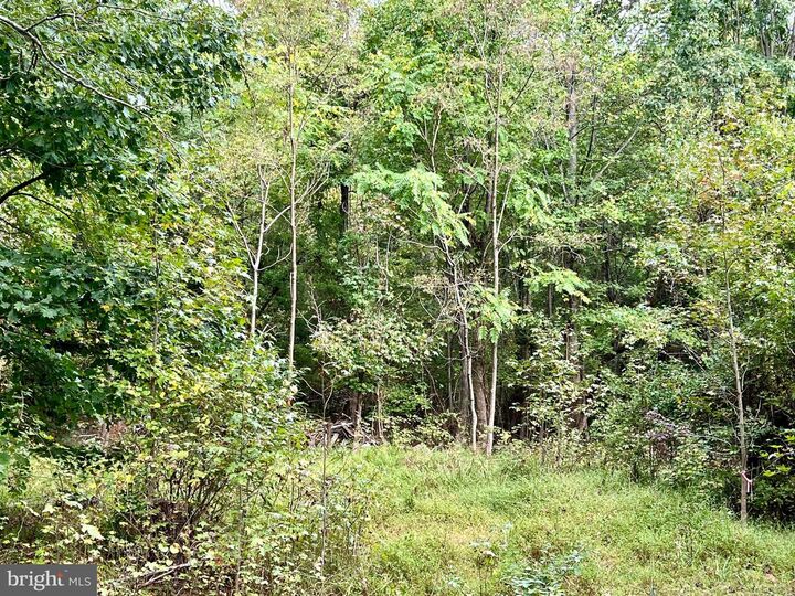 Property Photo: 159 Boothhaven Lane MD 20736