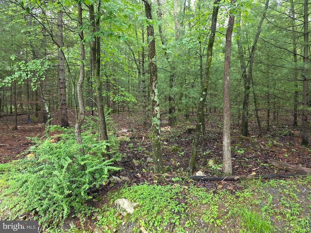 Property Photo: 91 Hirschmann Road PA 17307