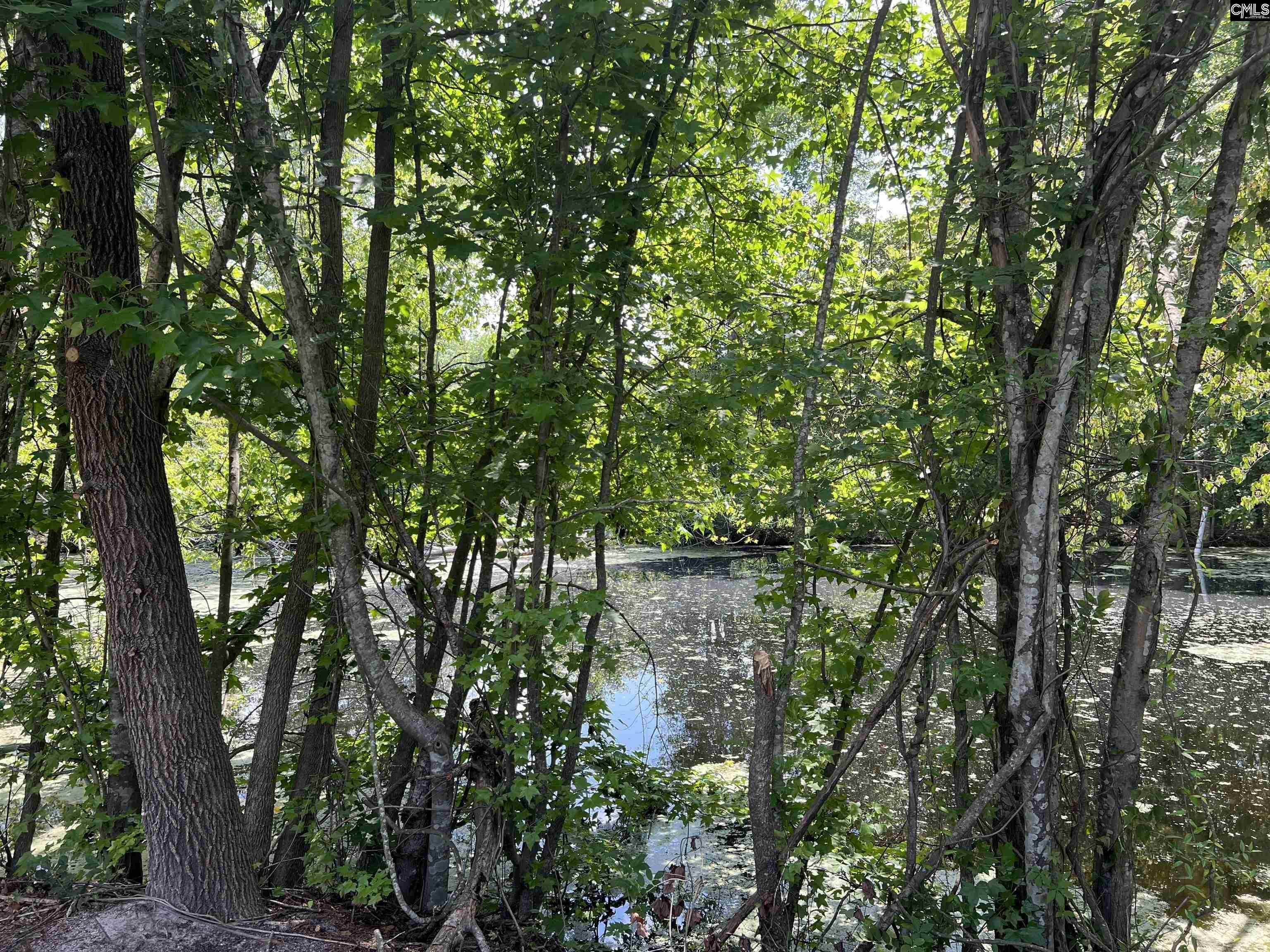 Property Photo: 4141 Edmund SC 29170-1413