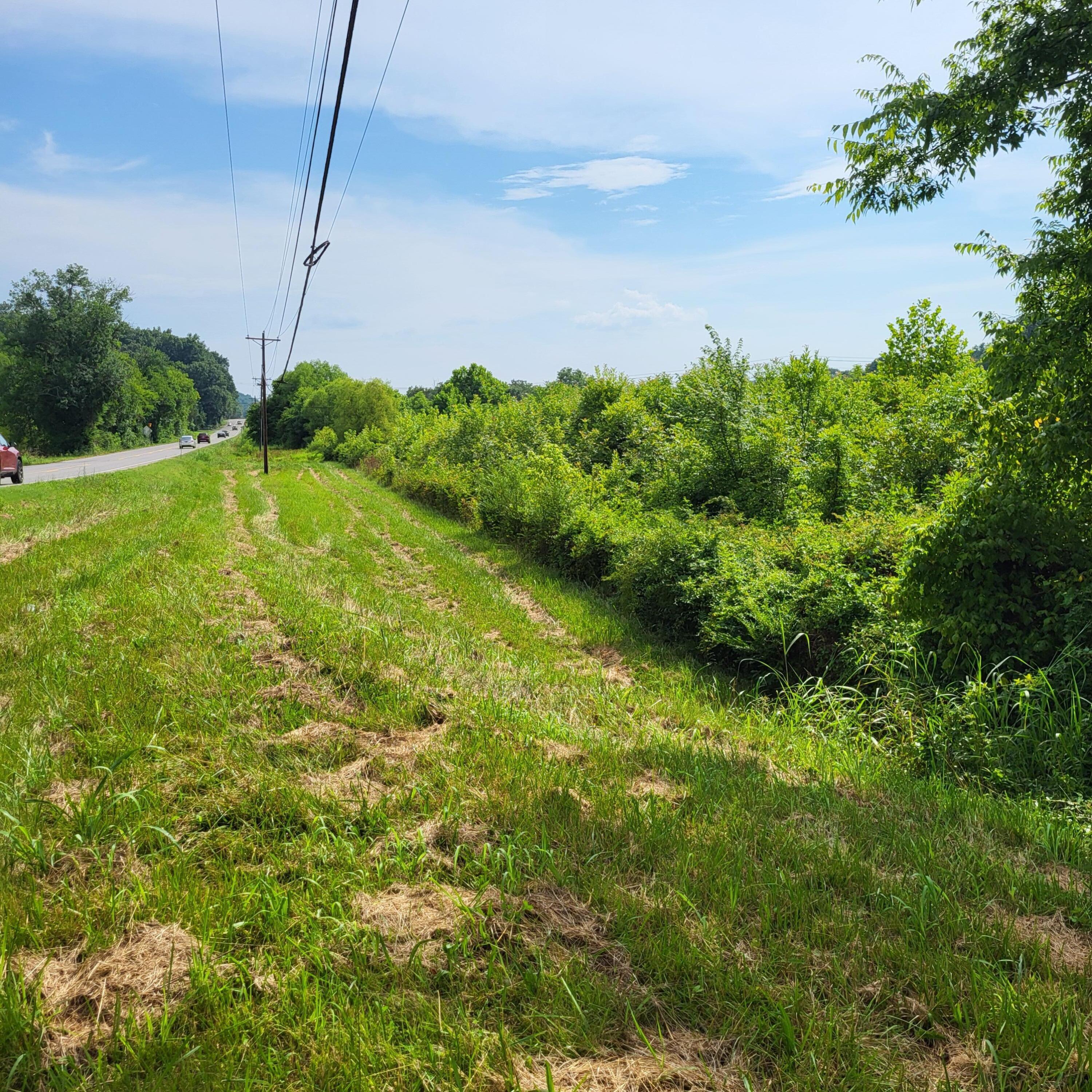 Property Photo: Parcel 11 Walker Valley Road NW TN 37312